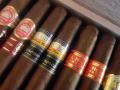 COLDEN SELECTION ROBUSTO
