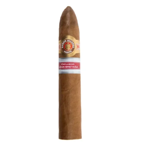 PETIT BELICOSO