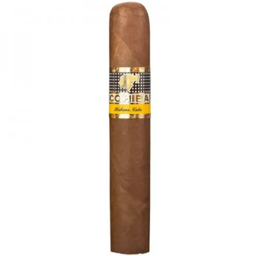 ROBUSTO