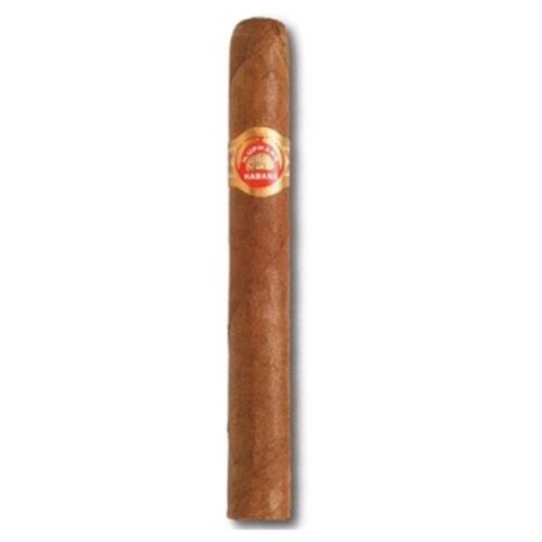 PETIT CORONAS