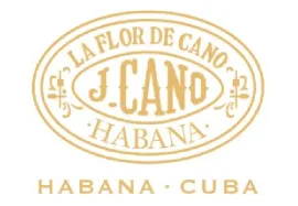 FLOR de CANO